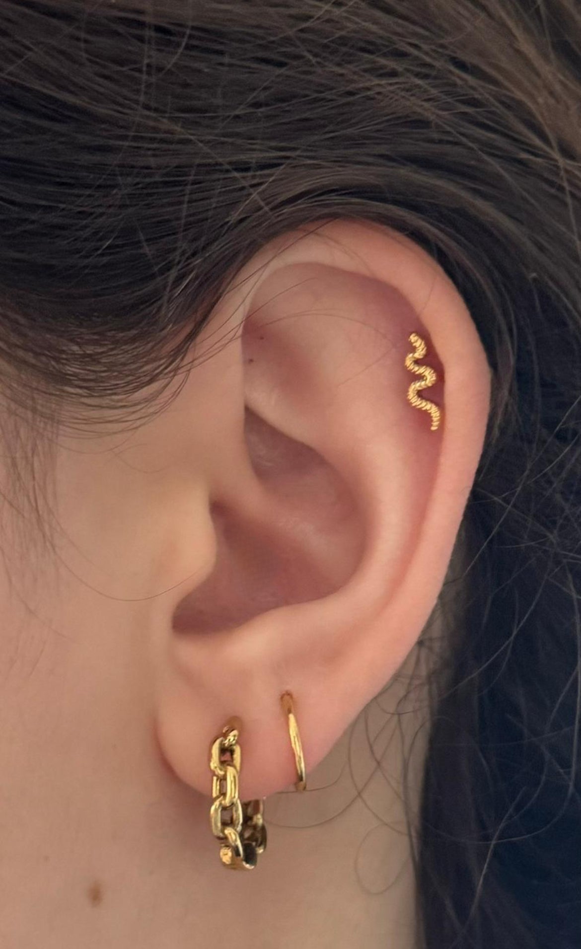 Eternia Hoop Earrings